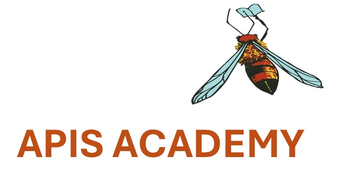 Apis Academy logo